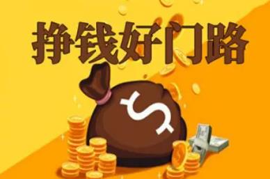 可以年赚10万比较冷门的赚钱项目分享配图