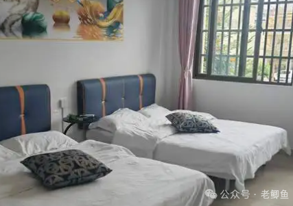 开民宿的俩月赚30万