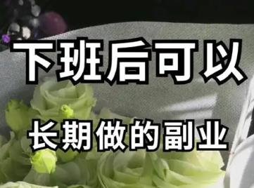 什么副业不用离职，下班后就可以搞？