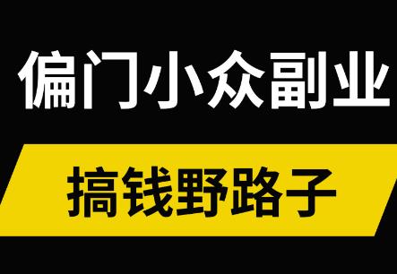 哪些小众的赚钱的副业适合单人可以干？配图