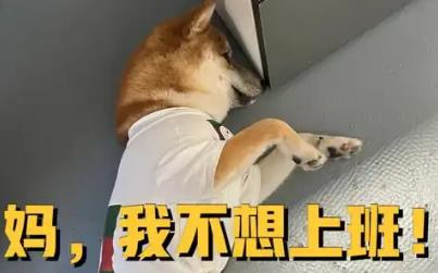 不想上班在家也可以搞钱的六个赚钱的小生意