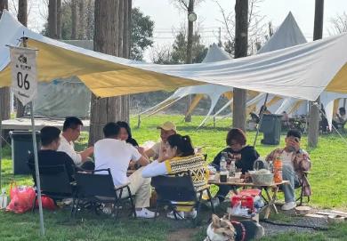 哪些小生意适合春天干？推荐集合适合春天干的副业推荐配图