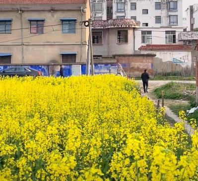 终有一天，你会静下心来，像个局外人一样回顾你的一生配图